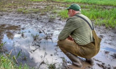 Inondations : une indemnité de 50 000 DA aux agriculteurs impactés