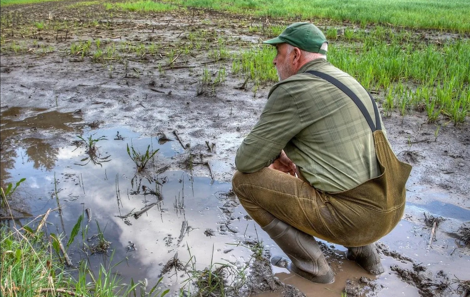 Inondations : une indemnité de 50 000 DA aux agriculteurs impactés